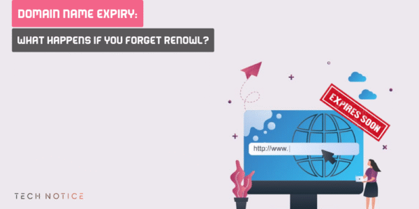 Domain Name Expiry